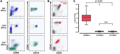 Mesangiogenic Progenitor Cells Are Tissue Specific and Cannot Be Isolated From Adipose Tissue or Umbilical Cord Blood